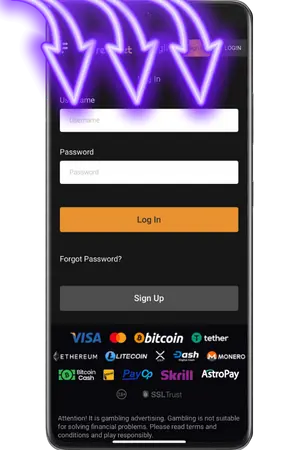 Enter your details to log in